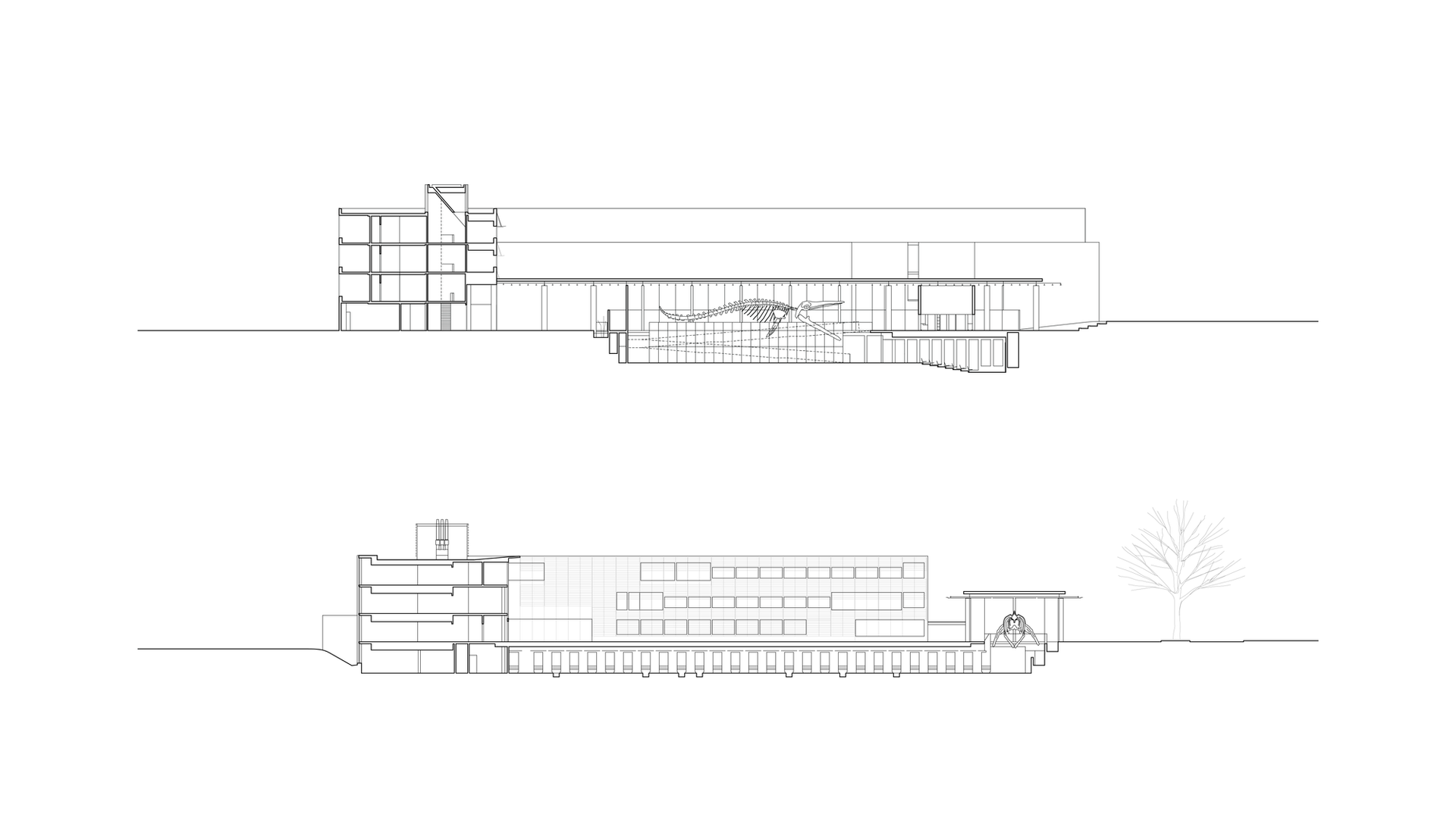 18_Beaty_Sections-10.png