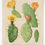 Thumbnail: Vintage Botanical Yellows