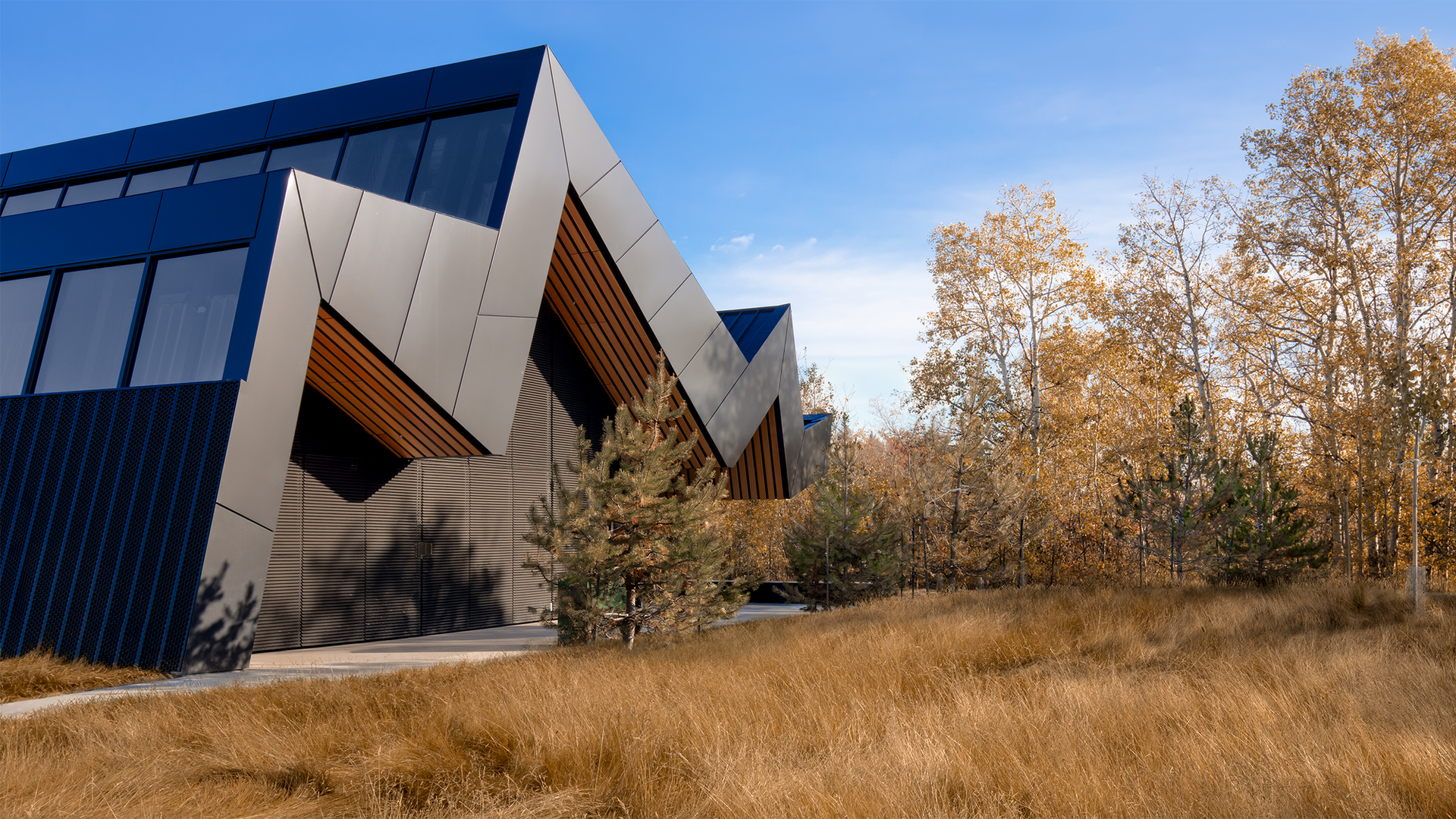 01_PA_Capilano Library_Exterior 6.png