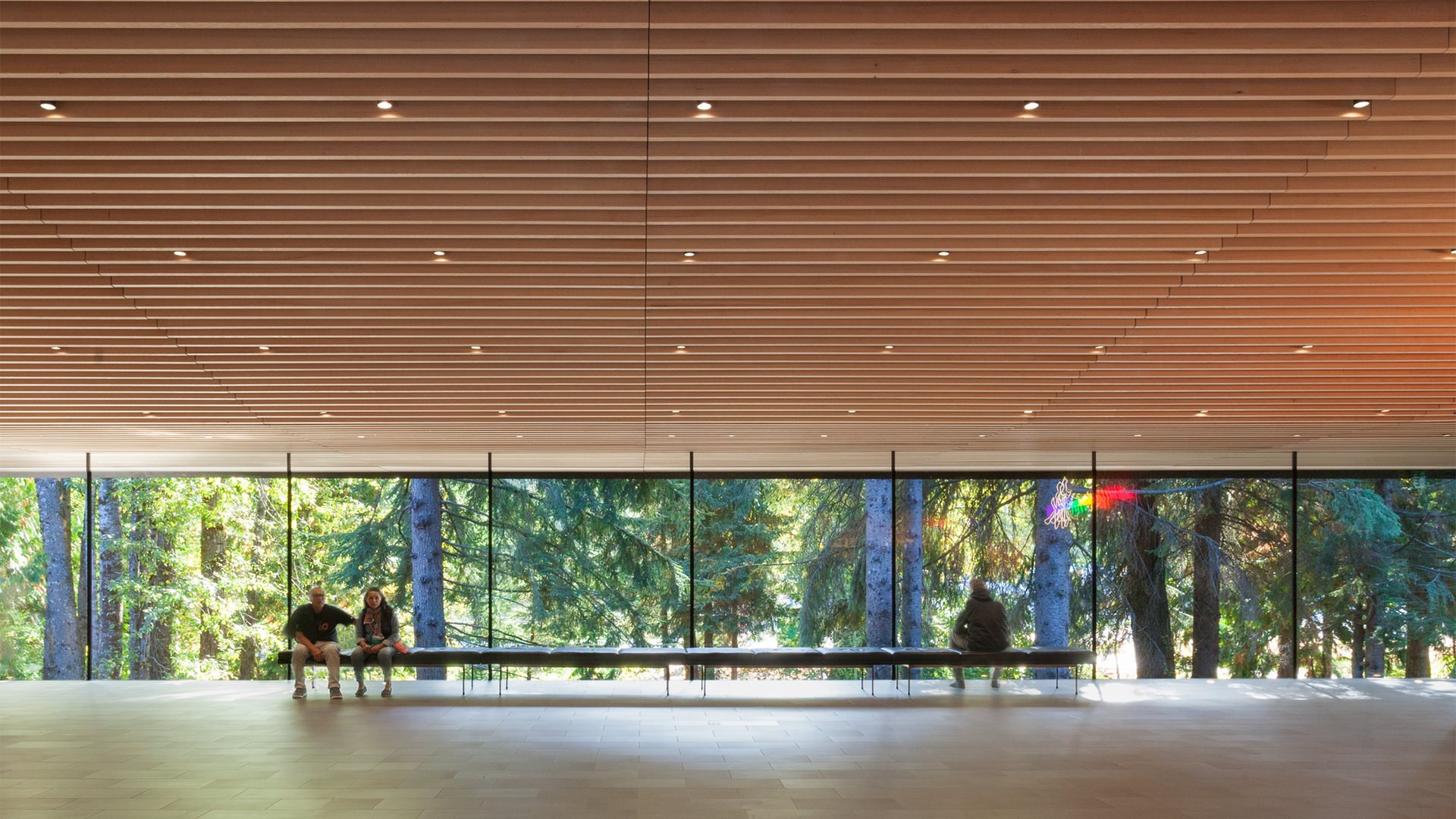 13_PA_AAM_Interior_1 - tight crop.png