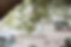 casalomah-4929.JPG
