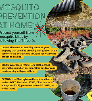 2026 Spring Newsletter Insert - Mosquito 3Ds.png