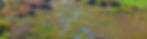 Black creek header.jpg
