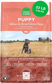 dog food.webp