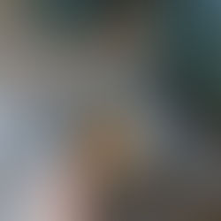 a coffee lovers guide: tea