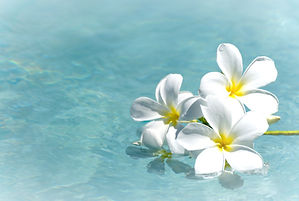 frangipani spa flowers over shiny water background-14_edited.jpg