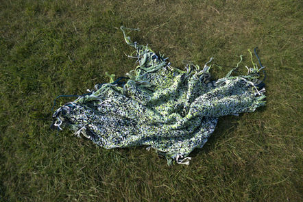 lying on the grass