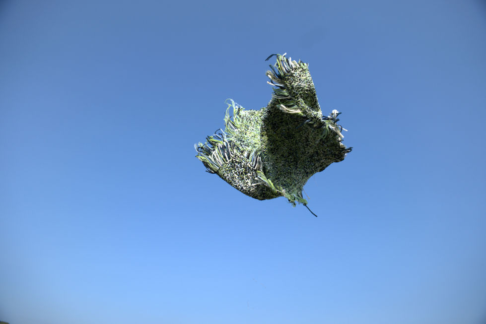 P1084636