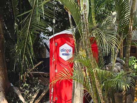 Dingo Baño portátil