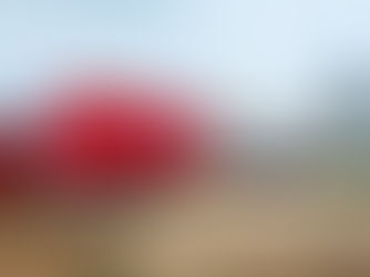 Baños Portátiles Dingo