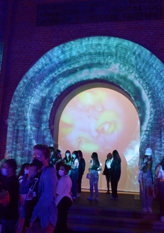 projection mapping art installation "CHIASM BRAIN"