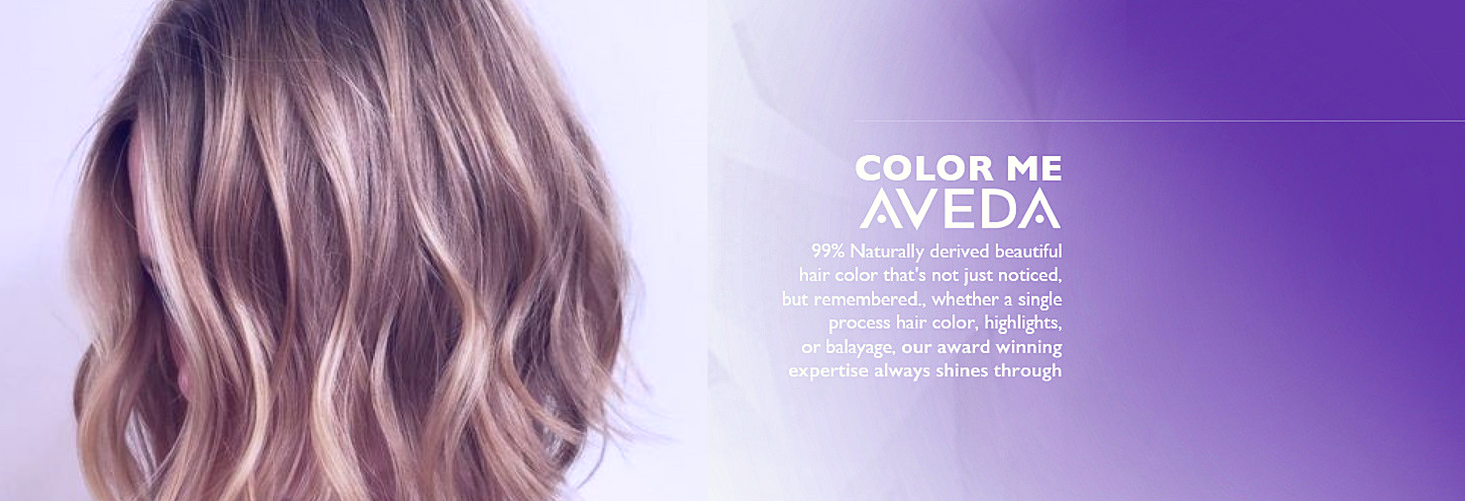 Daryl Christopher Lifestyle Salon Spa Aveda Waltham Ma