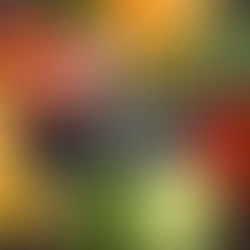 Η Αντικαρκινική δράση της βιταμίνης C!