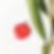 IMG_2261
