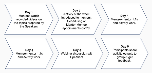 Mentoring overview.png