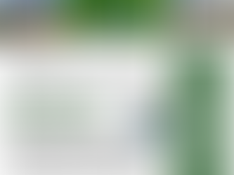 Exciting things coming for Sanford, Midland Mall hosts Comic-Con, Real Estate Stats and More!