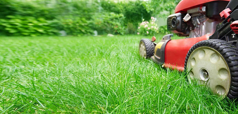 Lawn care services in buffalo.jpeg