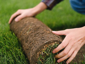 SOD Installation BY 10X Landscaping and Snow Plowing Services Company