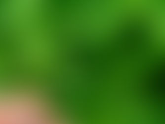 Bantu Lindungi Si Kecil dari Batuk Pilek dengan Meniran Hijau