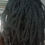 Thumbnail: Bob Marley Dreadlock Wig