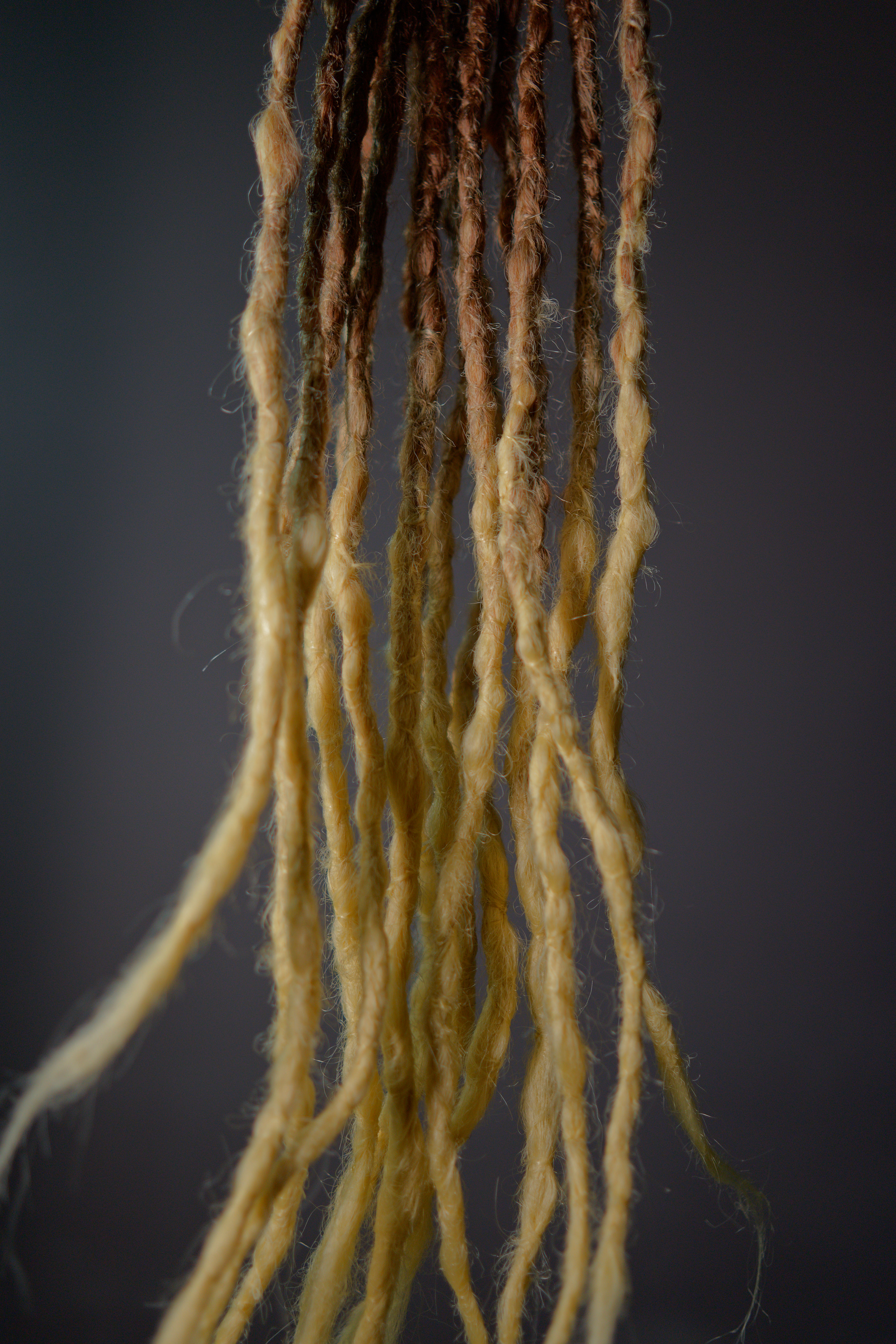 Brown and Blond Dreadlock Extentions
