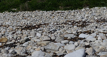 Cordon de galet Molène