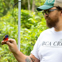 dauphinislandbanding-119 (2).jpg