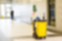 Cleaner is cleaning the floor, cleaning trolley.jpg