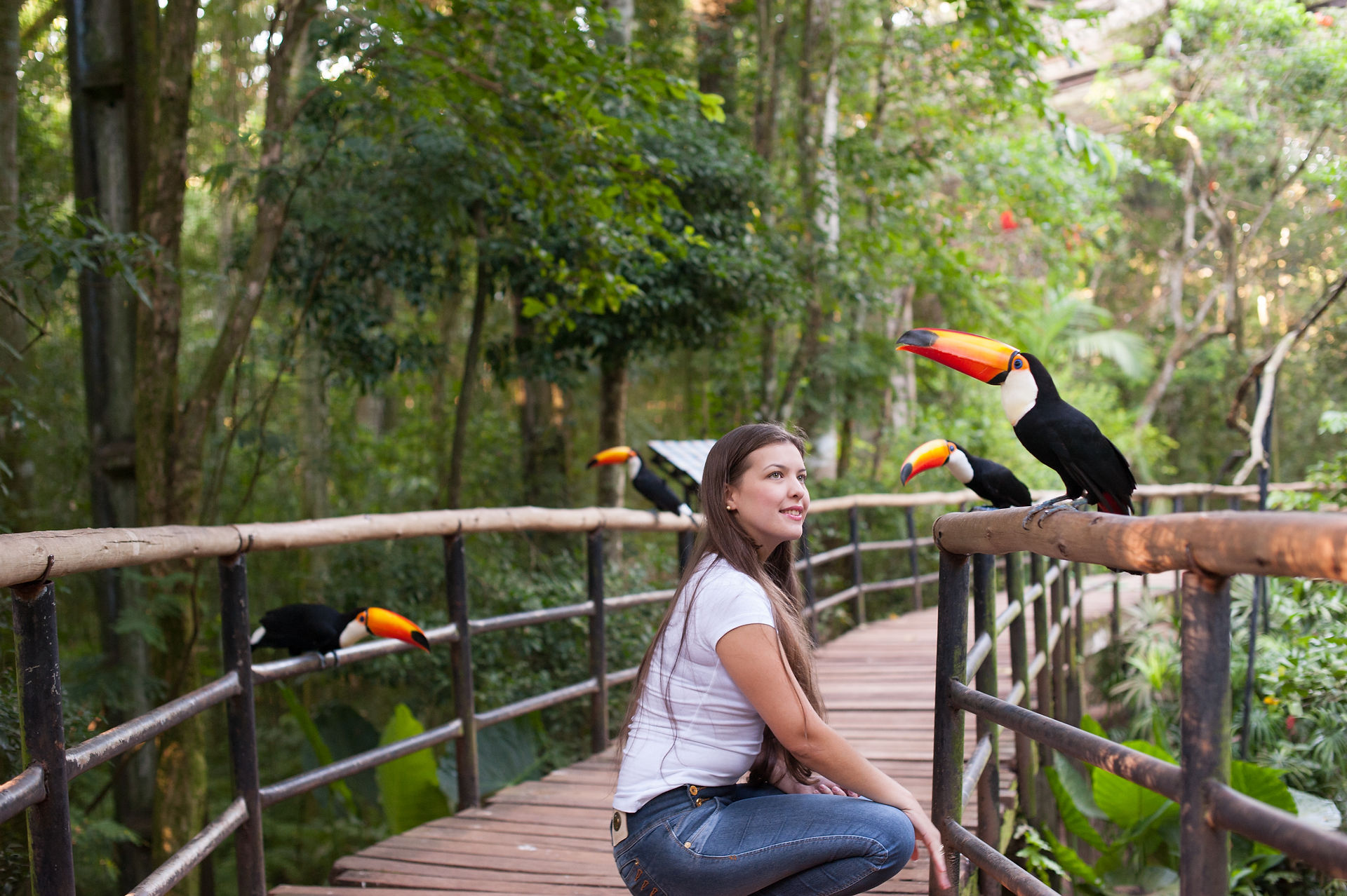 Visitante_no_Viveiro_Aves_de_Rios_e_Mangues[1]