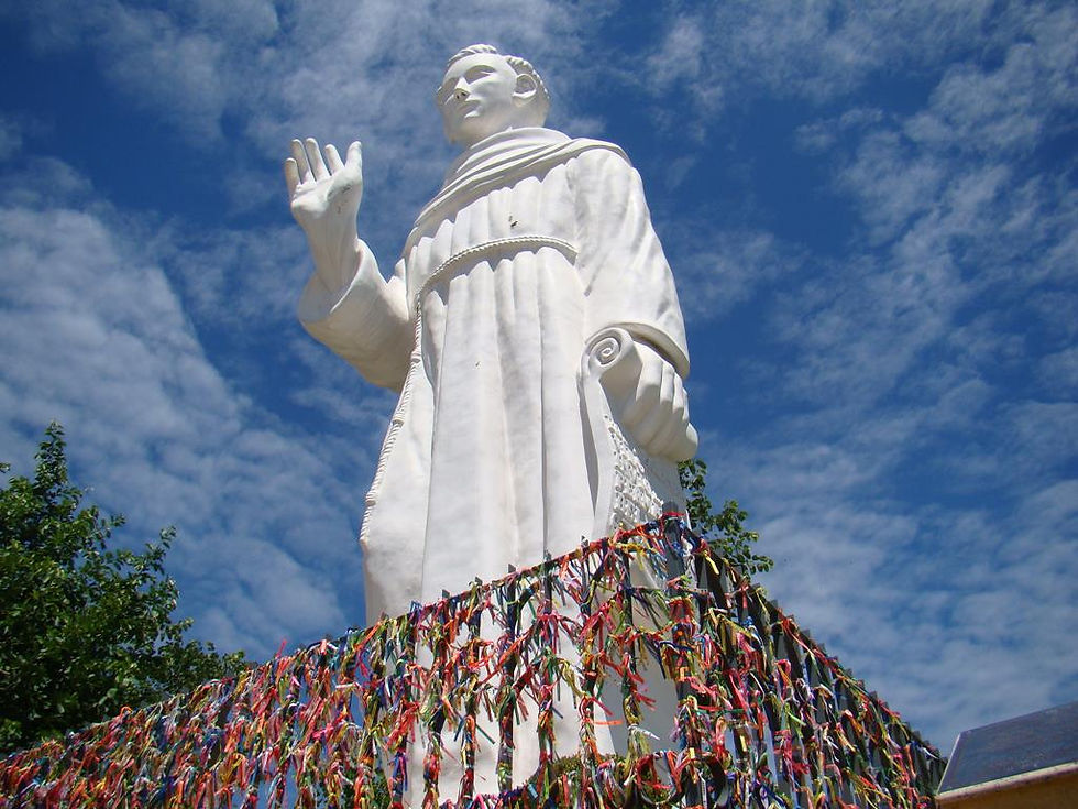 Estátua_de_Frei_Galvão_abençoada_pelo_Papa_Francisco