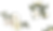 flowers-bottomright.png