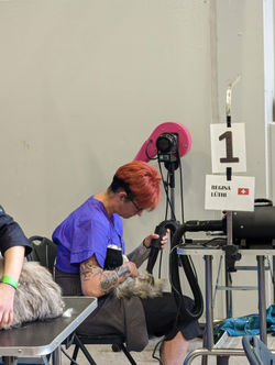 PXL_20230507_074035444