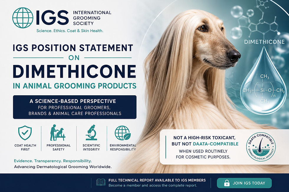 Declarația de poziție IGS privind dimeticona în produsele de cosmetică animală