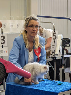 PXL_20230507_093714820