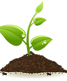 growing plant.png