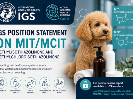 IGS Position Statement on Methylisothiazolinone and Methylchloroisothiazolinone (MIT/MCIT)