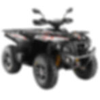 Access 600 EFI EPS