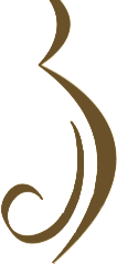 Adelaide Midwives logo