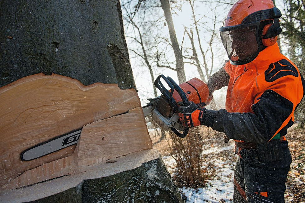 Прев'ю: Бензопила Stihl MS 661 С-М 11442000323/ 11442000321