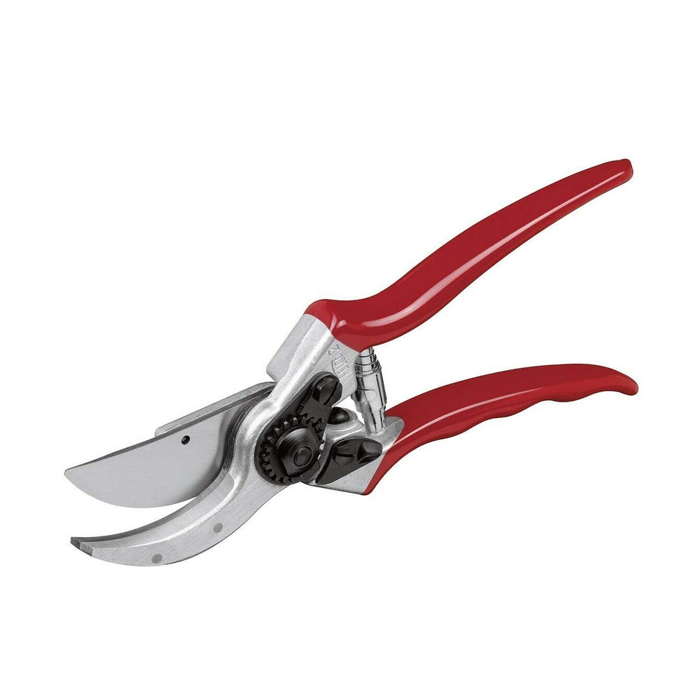 Секатор універсальний Stihl FELCO F2 00008818500, купити у Бердичеві та Житомирі у офіційного дилера.