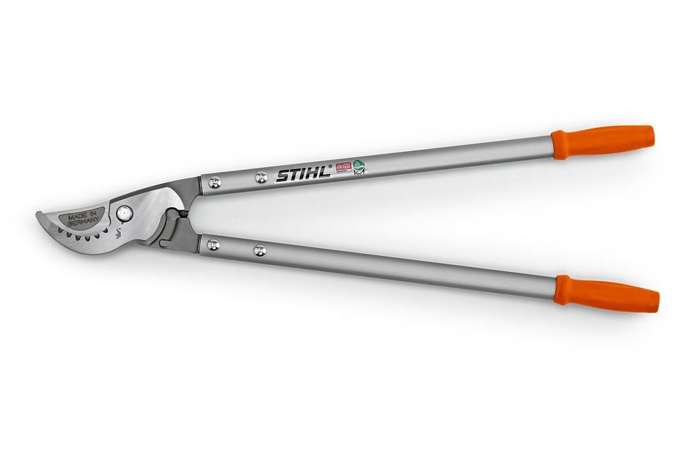 Сучкоріз Stihl Bypass PB 30 00008816500, придбати у офіційного дилера у Бердичеві та Житомирі.