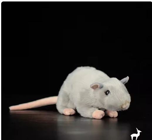  Shop Now! 2024 Extra Soft Real Life Cute  Rat Plush Toys Realistic Mouse Stuffed Animals Toy For Children  Educational Toys