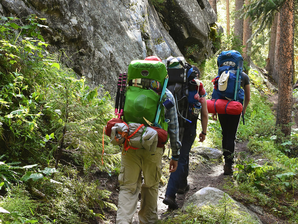 Three hikers with colorful backpacks walk through a lush forest trail beside rocky terrain. Sunlight filters through the trees.