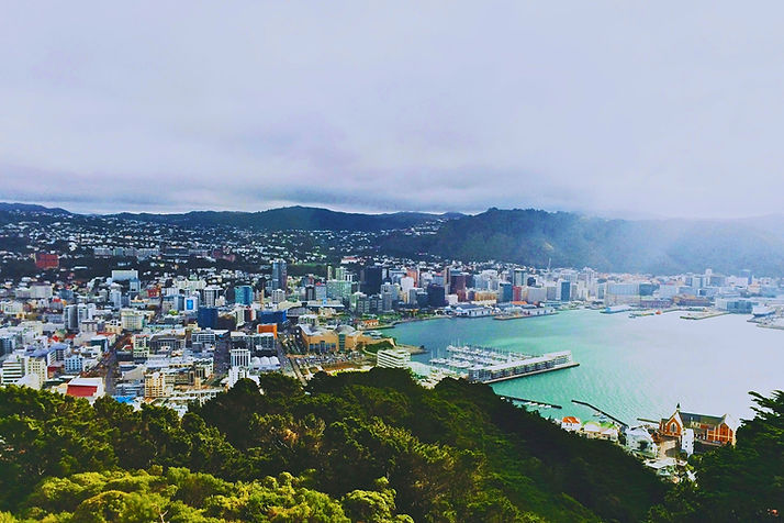 Mount Victoria, Wellington 6011, New Zealand, Wellington - Pat Ho