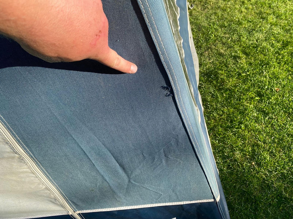 Thumbnail: Dorema Sirocco Size 12 (925-950cm)
