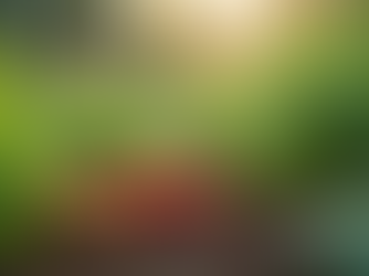 The Importance of Sustainable Living in Today's World