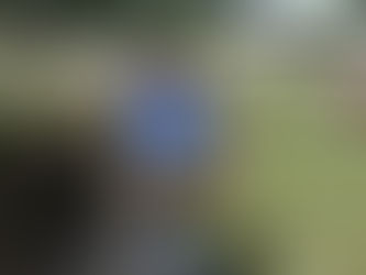 Landscaping the New School