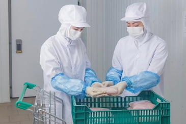 Pasted Graphic 7.heic