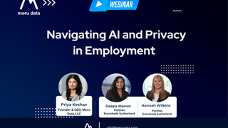 Navigating AI and Privacy in Employment