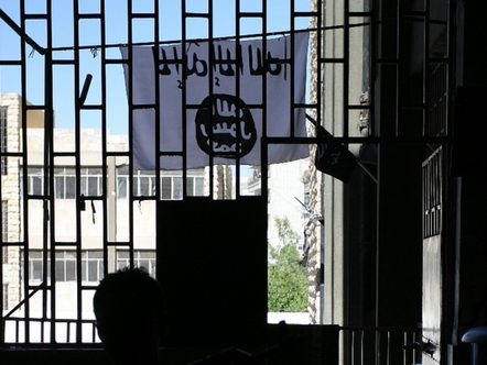 When women have bombs: drawing lessons from female suicide terrorists